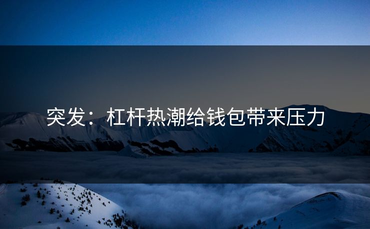突发：杠杆热潮给钱包带来压力