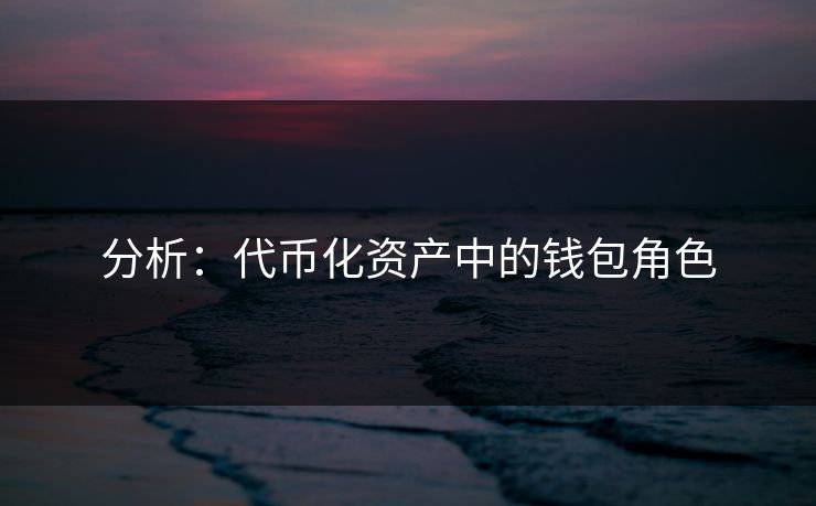 分析：代币化资产中的钱包角色