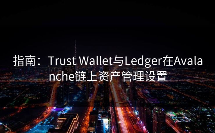 指南：Trust Wallet与Ledger在Avalanche链上资产管理设置